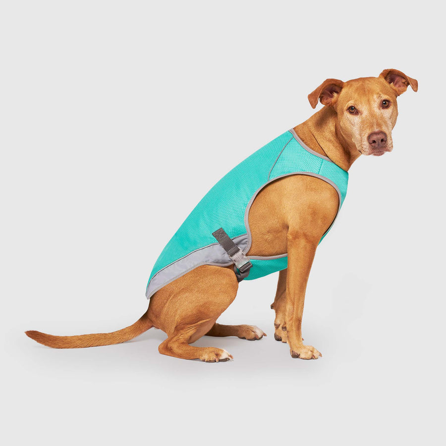 Canada Pooch — Chill Seeker Cooling Vest Wet Reveal